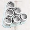 Stainless Steel Magnetic Spice Rack (CL1Z-J0604-6G)